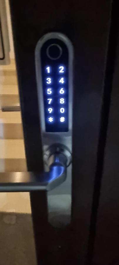 Amurresidence 51 Sauna Barbeque Parking ヤシ エクステリア 写真